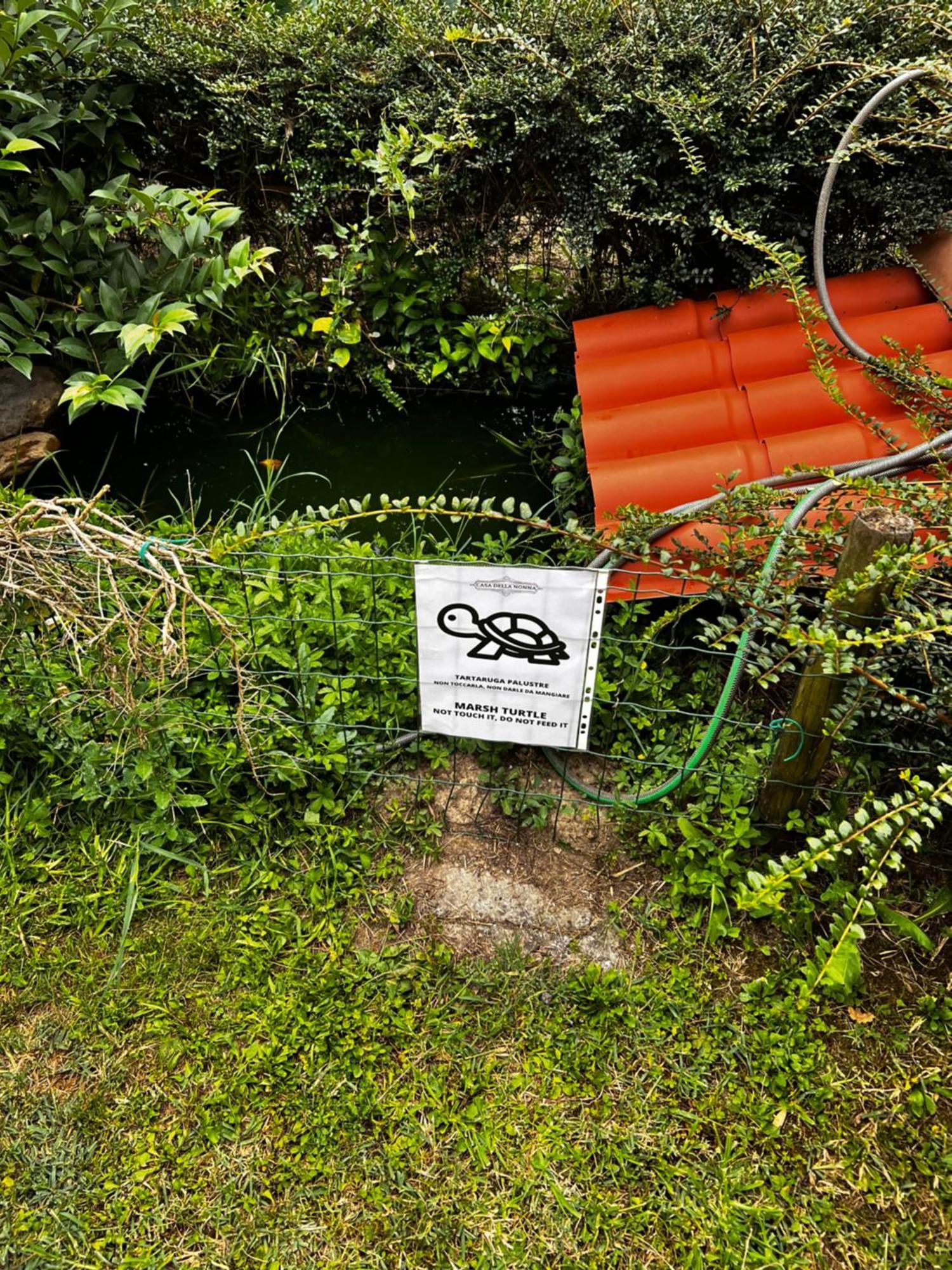 Appartamento Casa Della Nonna Noventa di Piave Exterior photo