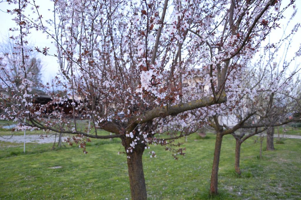 Appartamento Casa Della Nonna Noventa di Piave Exterior photo