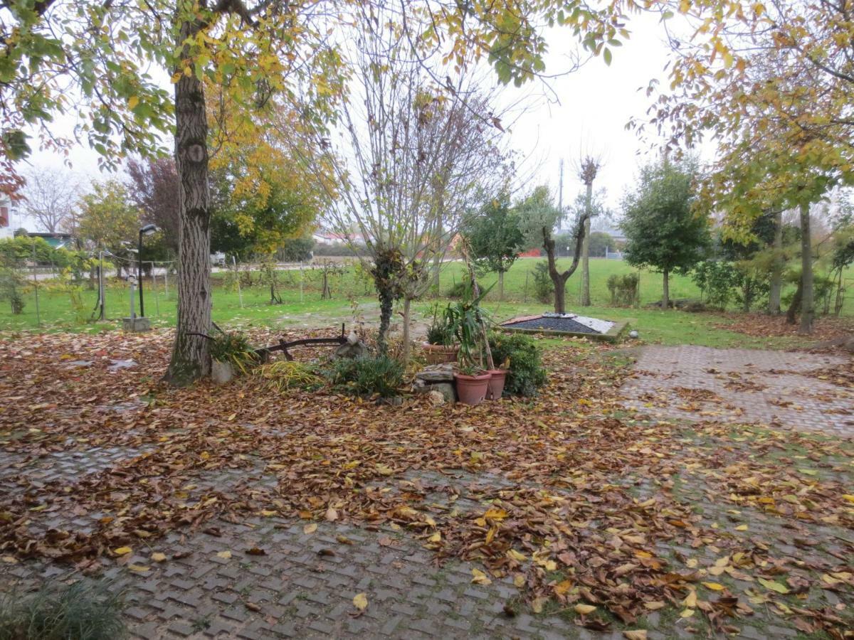 Appartamento Casa Della Nonna Noventa di Piave Exterior photo